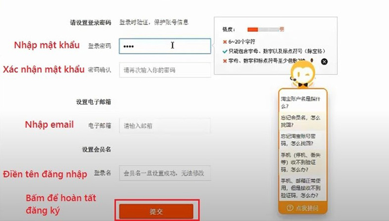 Nhập thông tin đăng ký Taobao