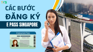 Employment Pass